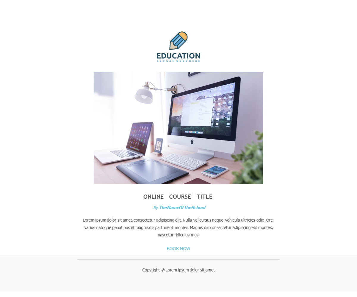 Online Education preview