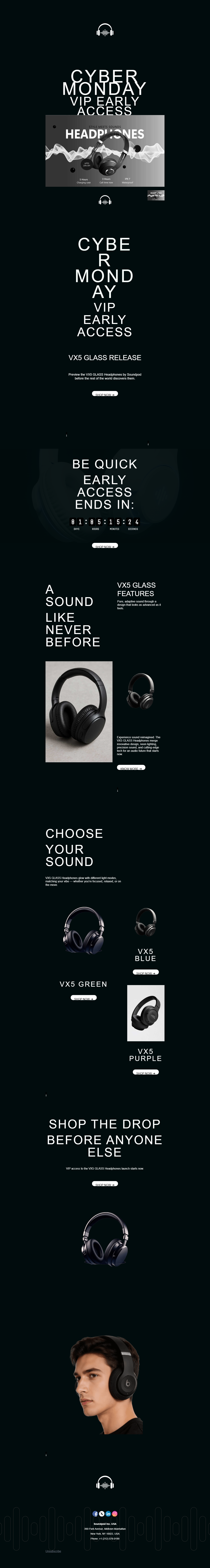 Black Friday VIP Access: Email